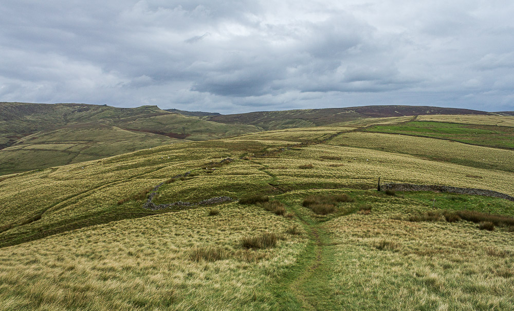 Brown Knoll Brown Knoll